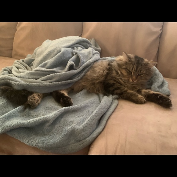 Meet your Posher, Emily - Picture 2 of 2